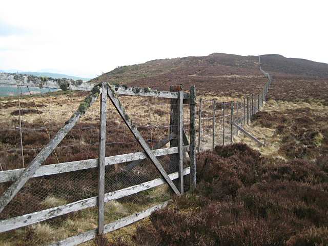 Gate in deer fence