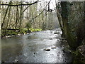 River Frome below Frenchay