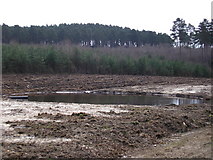 SU8564 : Pond at Round Hill, Crowthorne Wood by don cload