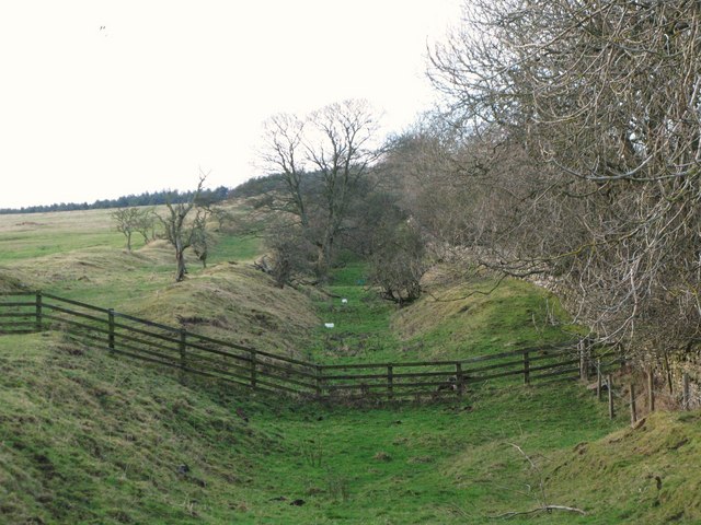 The Vallum west of Black Carts Farm