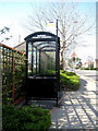 Bus shelter - Bridport Road