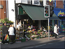 SP0384 : Florist on the High Street by Row17