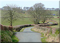 Lane near Ffaldybrenin, Carmarthenshire