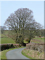 Lane near Ffaldybrenin, Carmarthenshire