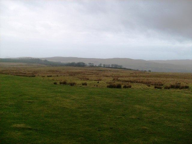 Thome Hill pasture