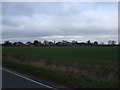 SE6809 : Fields towards Hatfield Woodhouse by Glyn Drury