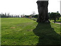 Looking south towards tree lined driveway to Woodmancote Place