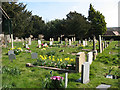 Teston, St Peter & St Paul:  graveyard