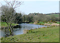 Afon Teifi near Llanddewi-Brefi, Ceredigion