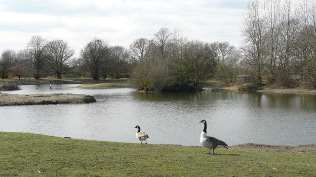 Seven Islands Pond, Mitcham Common © Peter Trimming cc-by-sa/2.0 ...