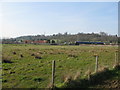 View towards Shalford Junction from River Wey Navigation