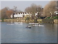 Rowing training on the Thames at Brentford