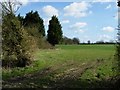 Field at Woodgates Farm