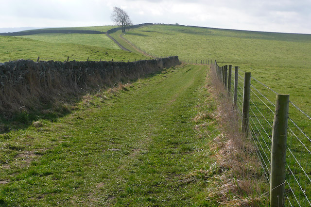 Monsal Trail to Bakewell Bridleway © Stephen G Taylor cc-by-sa/2.0 ...