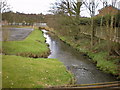 Confluence of Middle Brook and Bessie Brook