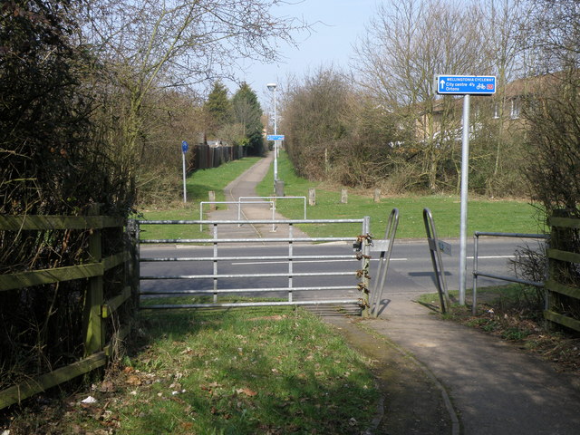 The Wellingtonia Cycleway © Michael Trolove :: Geograph Britain and Ireland