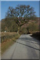 Road approaching Nant-y-Bai