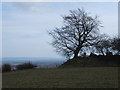 Trig Point at Horsepasture Hill