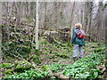 Path near River Hodder