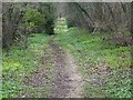 Footpath to Cobley Farm