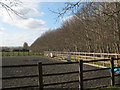 Horse exercise area