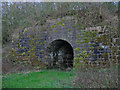 Limekiln, Whittle Spinney