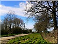 The road past Park Farm, near Callow Hill