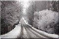 The Avenue, Kennington in the snow