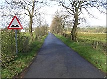 H5173 : Killycurragh Road, Killycurragh by Kenneth  Allen