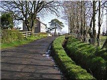 H5174 : Rushill Road, Killycurragh by Kenneth  Allen
