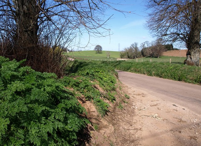 Lane near Exwell