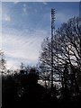 TQ9557 : TV communications tower by David Anstiss