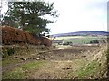 View WSW from Gallowhill West