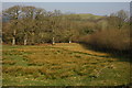 Farmland south of Rhandirmwyn