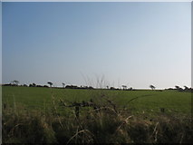 SH3288 : Field near Ty'n Lon by Eric Jones
