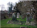 Churchyard, Raunds, with cat