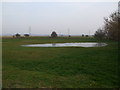 Pond near the moats at Ivy House Farm