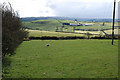 Fields southeast of Capel Seion