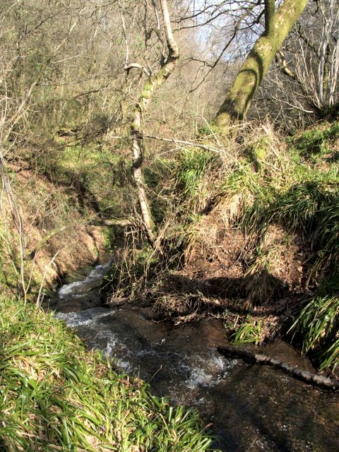 Stream flowing towards Poachy Glen