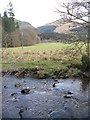 Fields, Glenbranter