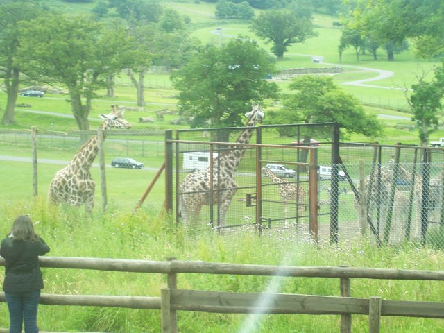 Longleat : Safari Park
