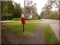SU1304 : Ashley: postbox № BH24 62, Horton Road by Chris Downer