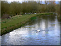 River Kennet, Axford