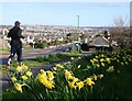 Daffodils, Dartmouth Road, Waterside, Paignton