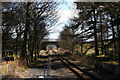 Bridge over the South Tynedale Railway