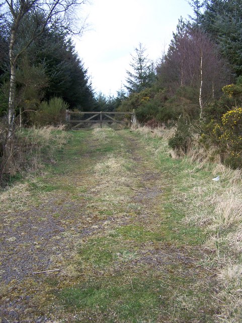 Track and gate in to Weiris Wood