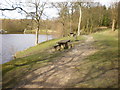 Picnic tables beside Rowley Lake