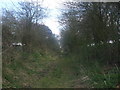 TM2184 : Trackbed looking towards Harleston by Ashley Dace
