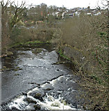 NS3865 : River Gryfe, Bridge of Weir by wfmillar
