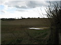 Ploughed Field